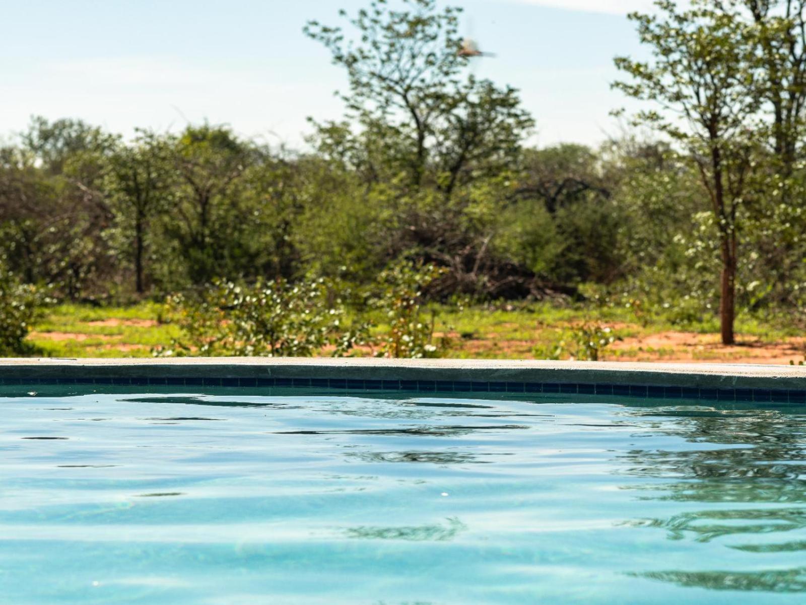 Kifaru Bush Camp Hotel Outjo Exterior foto